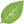 Salvia divinorum expert | Skills: Information Location, Salvia divinorum