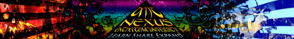 DMT-Nexus