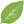 Salvia divinorum expert | Skills: Plant growing, Ayahuasca brewing, Mushroom growing Salvia divinorum expert | Skills: Plant growing, Ayahuasca brewing, Mushroom growing